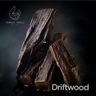 🔥Drift Wood(s)🔥 7-10cm Driftwood for aquarium or airplant / plantation (Kayu utk akuarium / pokok)