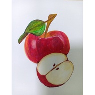 Red Apple painting A3 paper size