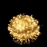 The lights on the Christmas tree