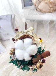 聖誕節限定 繽紛療癒系盆花/聖誕節交換禮物/實用小物