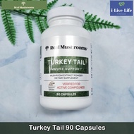 อาหารเสริม เห็ดหางไก่งวง Turkey Tail Mushroom Extract Powder - Real Mushrooms