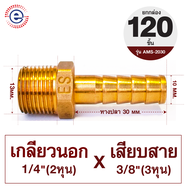 ES. ข้อต่อหางปลาเกลียวนอก(เกลียว2หุน) ข้อต่อทองเหลือง หางปลาไหล เกลียวนอกเสียบสาย หางปลาเกลียวนอก #ก