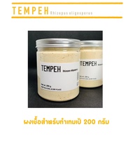 ผงเทมเป้ เชื้อเทมเป้ l Tempeh Rhizopus Oligosporus ของแท้ รับประกันการเกิดกระบวนการหมักภายใน 24 ชั่ว