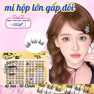 False Eyelashes Rabbit Ears Deer Ears Large Box Doubles to Save Water Eyelashes