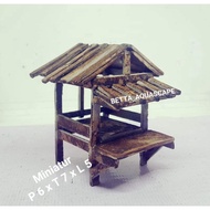 Miniature House