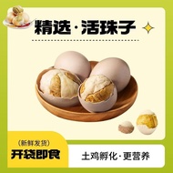 Authentic Living Beads Spicy Flavor Earthy Eggs Eggs Hatching 13 Days Instant Boneless Whole Box Lar