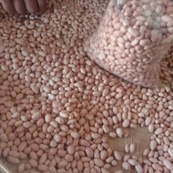 1 kg kacang tanah kupas/kacang tanah madura/kacang tanah kualitas super