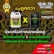 ปุ๋ยเร่งดอกใหญ่ Big Bud  ปุ๋ยเร่งดอกใหญ่ และ Terpinator ปุ๋ยช่วยเร่งไตรโคม เพิ่มรสชาติ เพิ่มกลิ่นของดอก