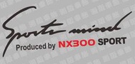 【湘阪車飾】Lexus 凌志 NX300 燈眉貼 大燈貼 引擎蓋貼 UX200/UX250h/RX350/RX450h