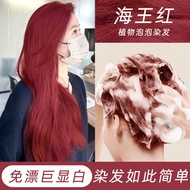 Bubble Dye Neptune Red Hair Dye Yourself Hair Dye Cream Plant Pure Popular Color 51012yt