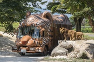 九州｜虎航｜自然野生動物園.叢林巴士.湯布院.萌熊電車.全新熊本城.雙溫泉五日｜高雄直飛