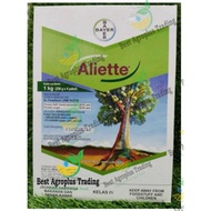 Bayer Aliette Racun Kulat Durian 1kg