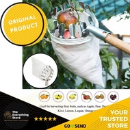 GoTech Fruit ORIGINAL TES