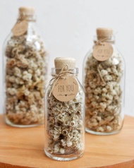 bunga kering edelweiss in bottle - edelweis in jar - dried flower - bunga kering dalam botol