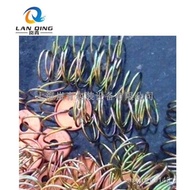 4/5/8KW Foot Stepping on High Frequency Camera Top Rod Spring Guide Rod Guide Rod Contact Spring Top