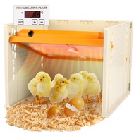 TTLIFE Brooder Heater For Chicks, Chick Brooder Heating Plate With Easy Clean Plate 10" X 10", Rutin