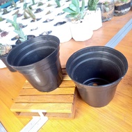 Black Pot 8cm