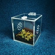 Acrylic enclosure for small tarantula 3x3x3 inches / sling tarantula / exotic pet / enclosure