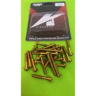(HEXAGON ENGINE SCREW )Y15 LC135 HEAD SKRU ENJIN GOLD SET