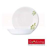 Corelle Olive Garden จานซุป ขนาด 8.5 นิ้ว (21 ซม.)จำนวน 2 ชิ้น / C-03-420-OG-2