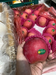 Apel Fuji Fresh per dus 18kg