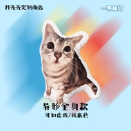 Customized Pillow diy Customized Pillow Special-Shaped Customized Pet Pillow Cat Picture Customized 