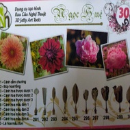 Ngoc Hue 3D jelly making tools (set number 30 - dahlias, peonies, carnations)