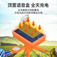 Solar Voice Automatic Bird Repellent Bird Repellent Bird Repellent Bird Repellent Bird Repellent Far