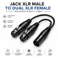 XLR male to dual XLR female jack cable XLR branch cable