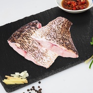 Song Fish Grouper Fillet Fresh Seafood