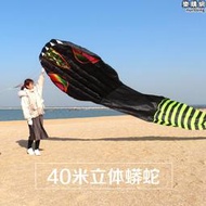 濰坊風箏 高檔大型立體蟒蛇大風箏 新款巨型成人風箏 好飛易飛