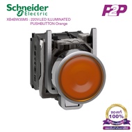 XB4BW35M5 : Push button Switch With Light Ø22mm Metal Type Yellow 220-240VAC 1NO+1NC-Schneider Elect