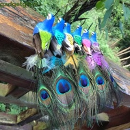 GADGETGLOW​ Emulation Bird Foam Cute Decoration Wedding Home Office Feathers
