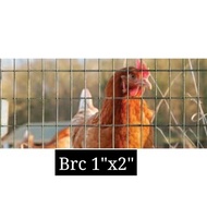 [Ready Stock] 4Ft Galvanized BRC Welded Iron Wire Mesh Net Netting /Dawai Jaring /Dawai Brc