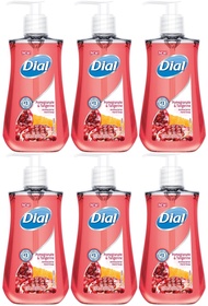 DIA02795 - Dial Pomegranate Antibacterial Hand Soap - 6 Pack