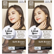 (Bundle Of 2) Liese Natural Series Creamy Bubble Hair Color Soft Brown - Beauty Language