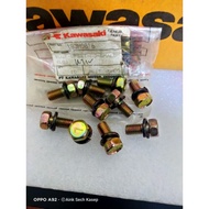 Center exhaust bolt edge blitz r zone