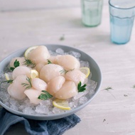 Fassler Gourmet Scallops USA - Frozen