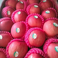 buah apel 1kg fresh