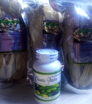 chanca piedra herbal capsule pure organic/ for gallstones kidney Stone