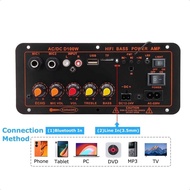D100 Digital Audio Amplifier Board with Dual Microphone Input
