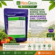 [ HG Expert ]NUTRIENT FERTILIZER (1kg)- LEAFY VEGETABLES, FLOWER【MG,B,FE,MO,MN,ZN,CU】
