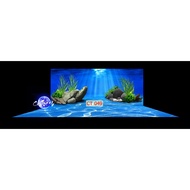 3d painting. stickers for aquariums, arowana fish tanks (back painting)