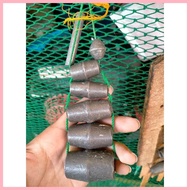 ✸ ✁ Lead Sinker / Tingga per kilo