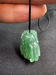 翡翠木那種老藍水佛手瓜