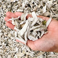 Xô Thơm Trắng Cành/Lá Rời - White Sage – Thanh Tẩy Nhà Cửa Tarot Đá Phong Thủy – Thảo Mộc Xông Nhà