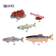 [WUHO] Life Cycle of Salmon Toys Life Growth Cycle Figure Biology Model Educational Preschool Teaching Role Play Birthday Gifts