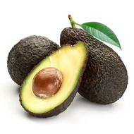 ANAK POKOK AVOCADO HASS ~KAHWIN (1 pokok)