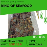 Live Mud Crab