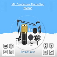 Mic Condenser Recording BM800 Live Smule Podcast Original